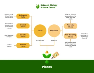 premium  Template: Premium Plant Biology Concept Map Template