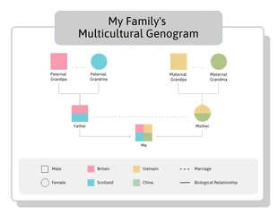 Free  Template: Genogram Diagram Template