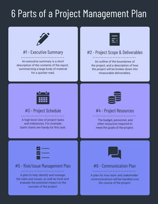 premium  Template: Management Plan Infographic Template