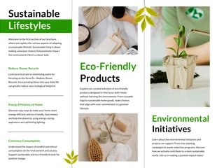 Eco-Friendly Practices Brochure - Page 2