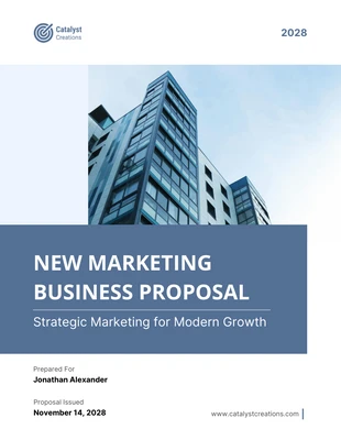 business  Template: New Marketing Business Proposal