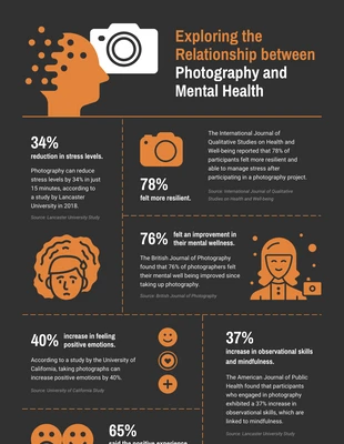 premium  Template: Infographic About Photography Template