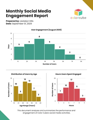 Free  Template: Social Media Engagement Report Histogram Template