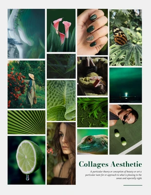 Free  Template: Light Grey And Green Minimalist Aesthetic Photo Collages