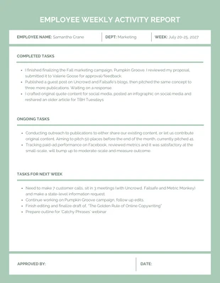 Free  Template: Employee Weekly Activity Report Template