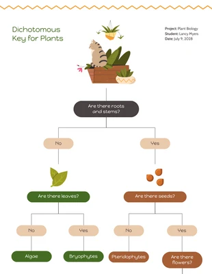 Free  Template: Plant Biology Dichotomous Key Diagram Template