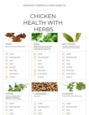 premium  Template: Health With Herbs Spices Comparison Infographic Template