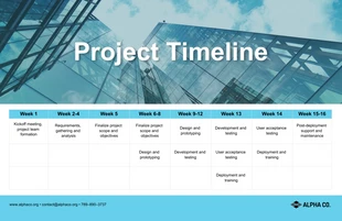 premium  Template: Company Project Timeline Example Infographic Template