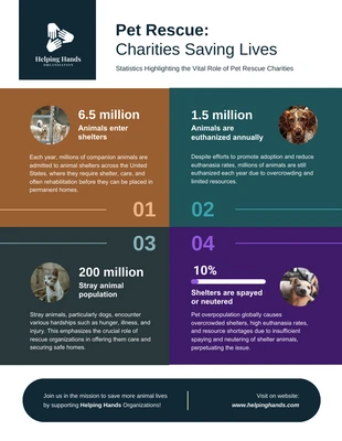 business  Template: How Charities Save Pets Rescue Infographic Template