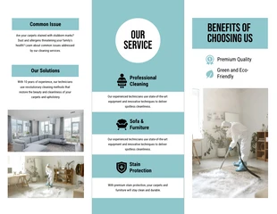 Carpet & Upholstery Cleaning Brochure - Page 2