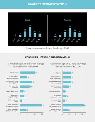 Free  Template: Market Segmentation Report Template