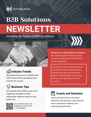 premium  Template: B2B Solutions Newsletter Template