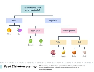 Free  Template: Food Branching Tree Dichotomous Key Diagram Template