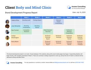 premium  Template: Client Progress Report Template