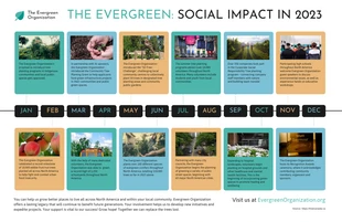 Free  Template: Non-profit Social Impact Plan Timeline Infographic Template