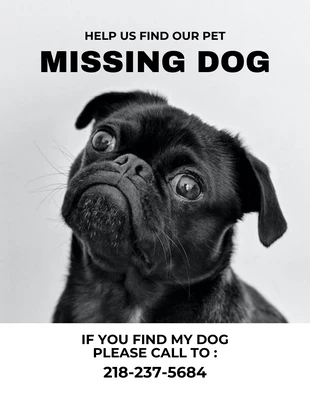 Free  Template: Grey Missing Dog Flyer Template