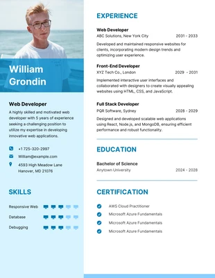 Free  Template: Blue Clean Web Developer Resume Template