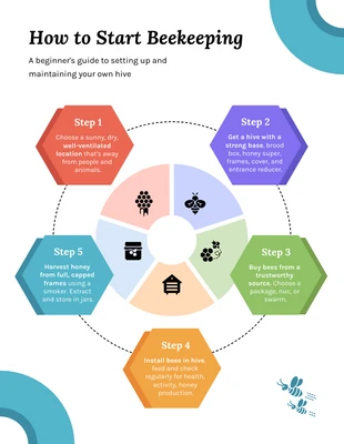 business  Template: How to Start Beekeeping Infographic Template