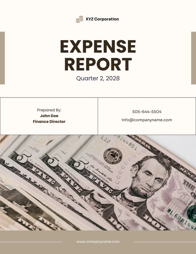 Brown Simple Expense Report - Page 1