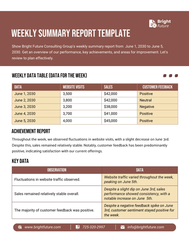 Weekly Summary Report Template