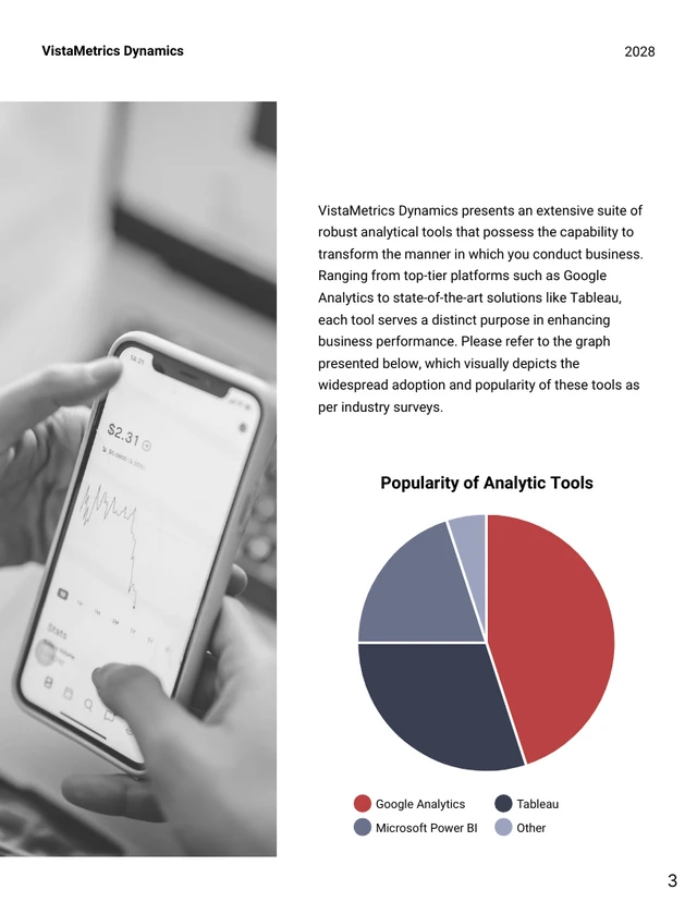 Improving Business Performance: Analytic Tools Report - Page 3