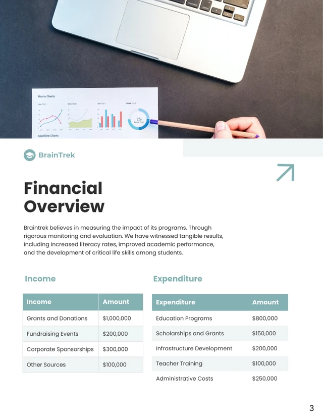 Light Green Creamy Charity Report - Page 3