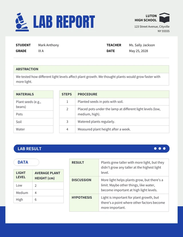 High School Lab Report Template