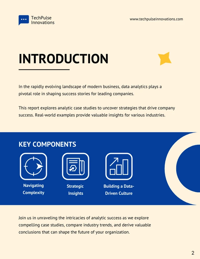 Leading Success: Analytic Case Studies Report - Page 2