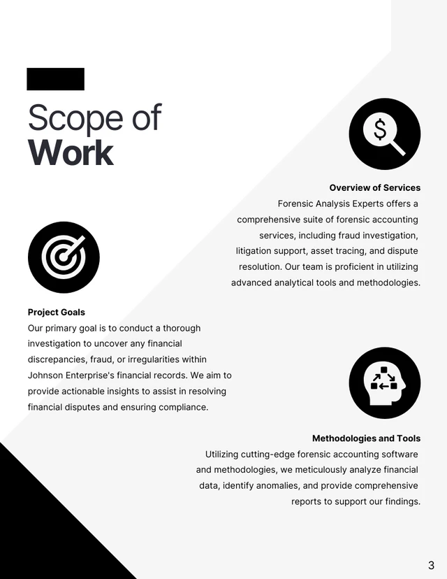 Forensic Accounting Proposals - Page 3