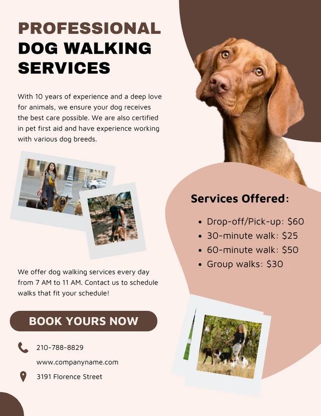 Simple Brown and Beige Dog Walker Flyer Template
