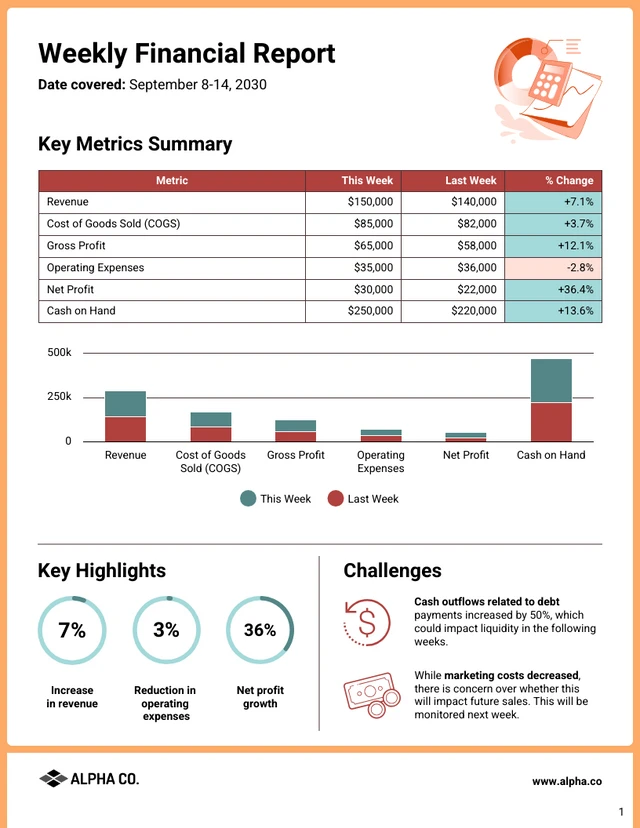 Weekly Financial Report Template - Page 1