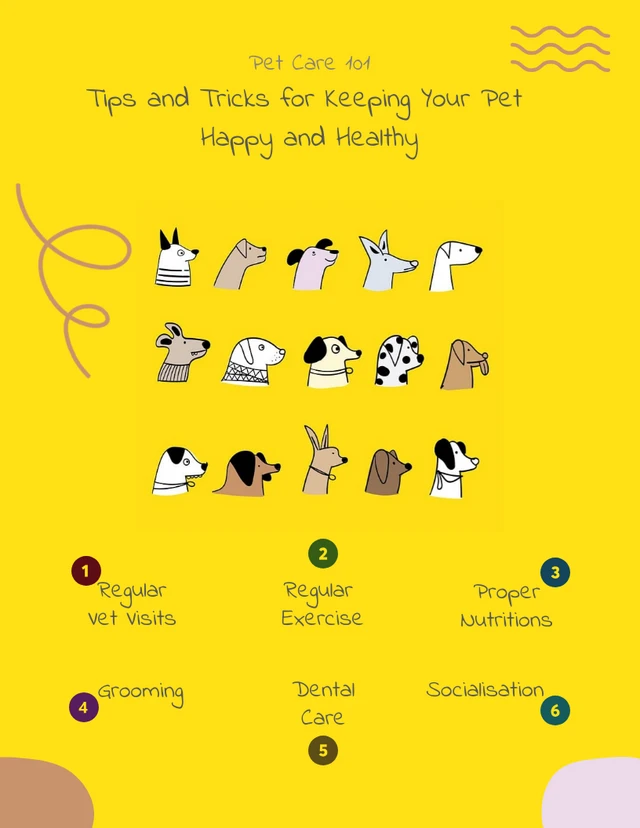 Yellow Cartoon Infographic on Pet Care Poster Template
