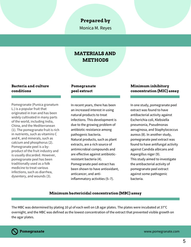 Pale Green Research Proposal Template - Page 5