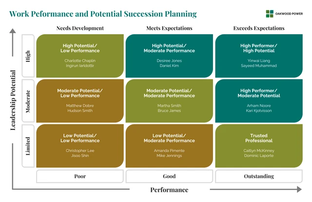 Work Peformance and Potential Succession Planning Template