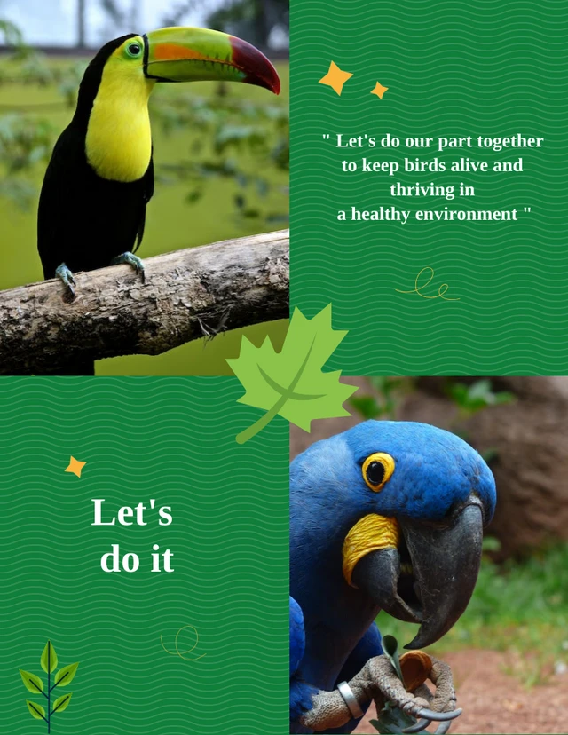 Parrot rescue campaign green poster Template
