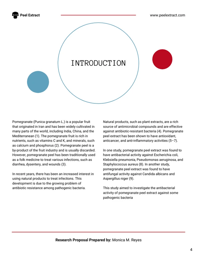 Research Proposal Template - Page 4