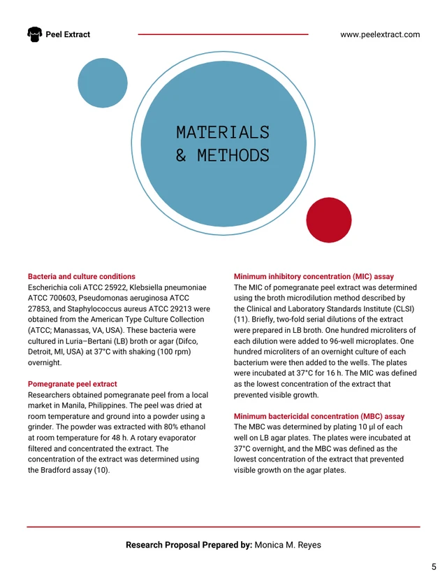 Research Proposal Template - Page 5