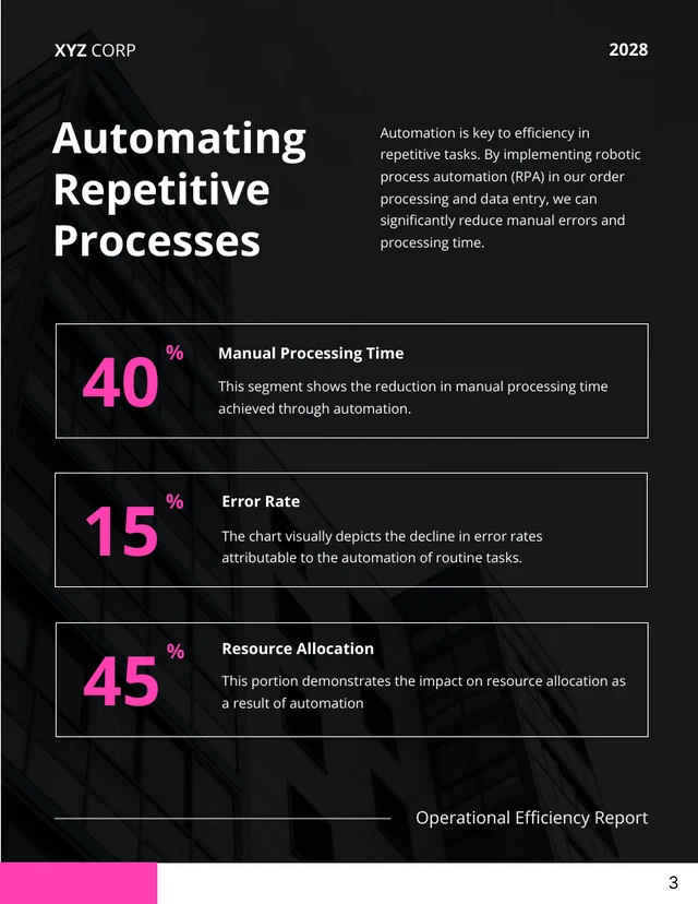 Operational Efficiency Report - Page 3