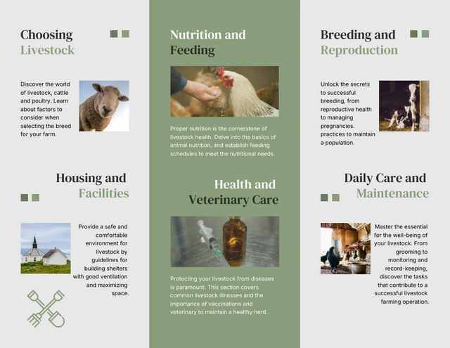 Livestock Farming Guide Brochure - Page 2