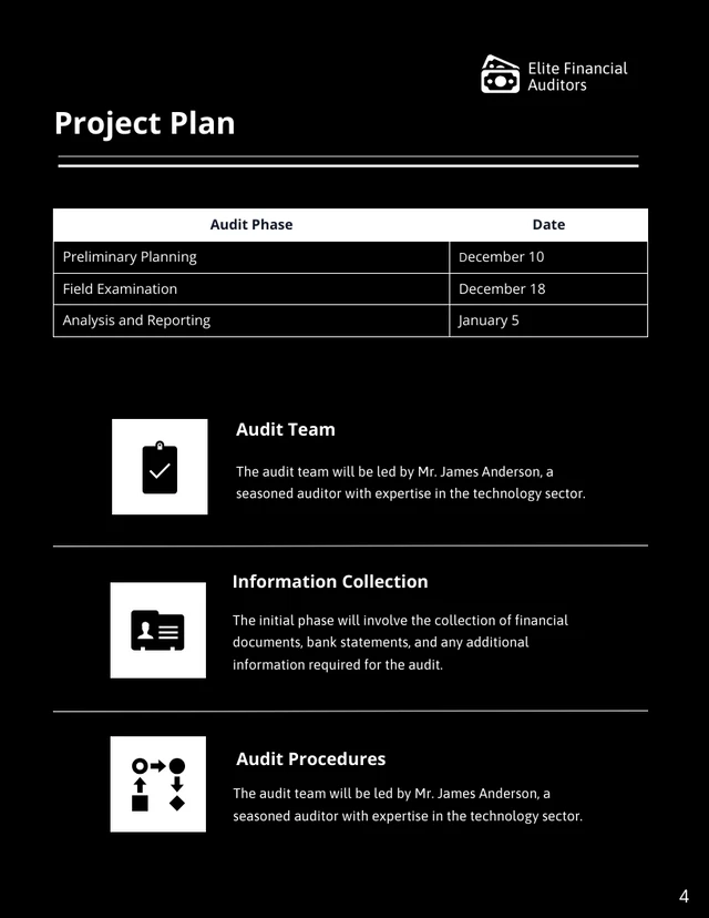 Financial Audit Proposals - Page 4