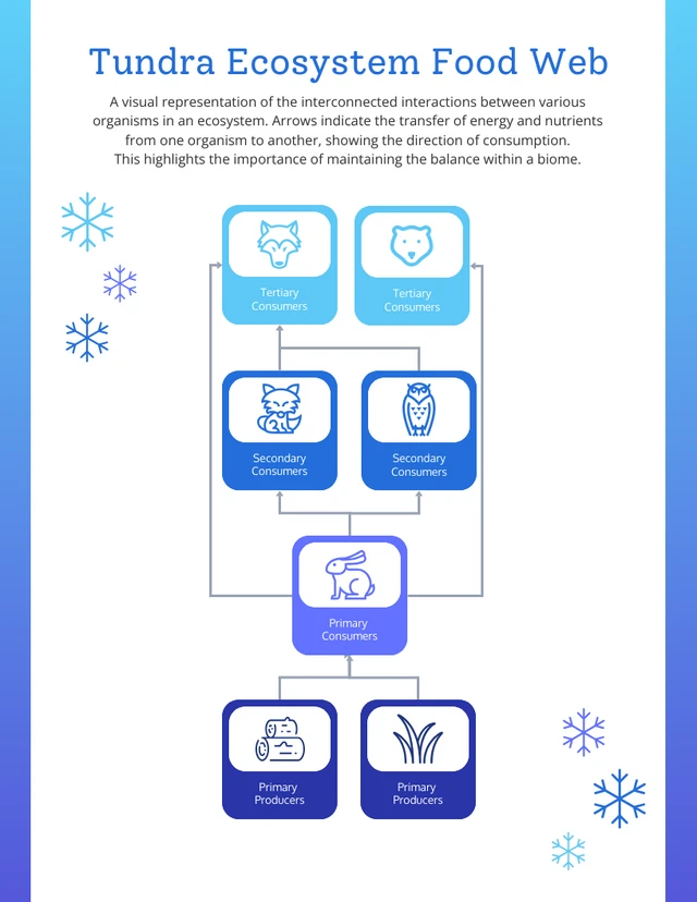 Gradient Tundra Biome Food Web Diagram Template