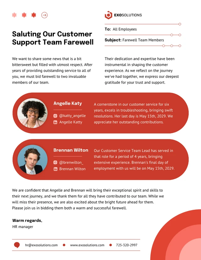 Professional Farewell Colleague Email Newsletter Template