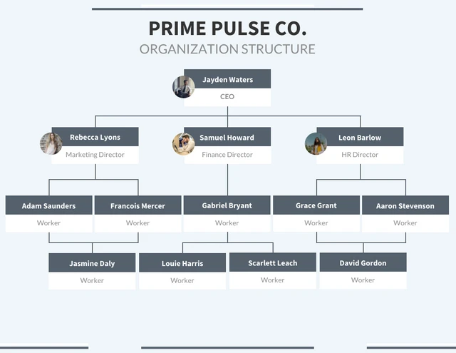 Grey Modern Company Team Organization Chart Template