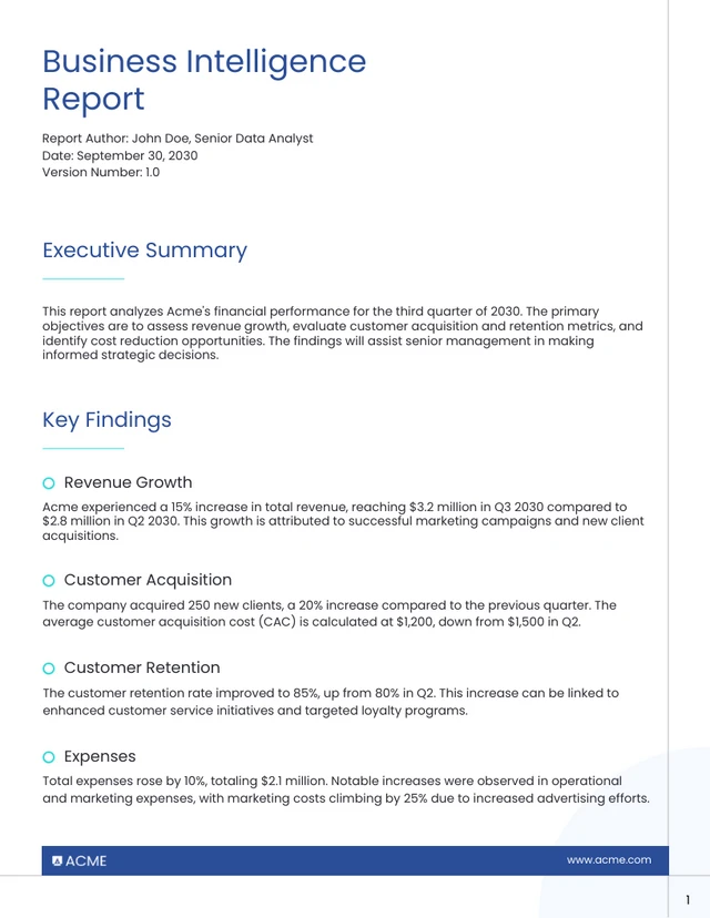 Business Intelligence Report Requirements Template - Page 1