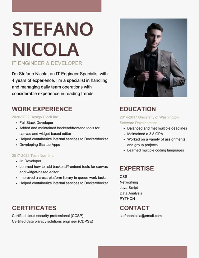 Light Grey And Brown Clean Professional IT Resume Template
