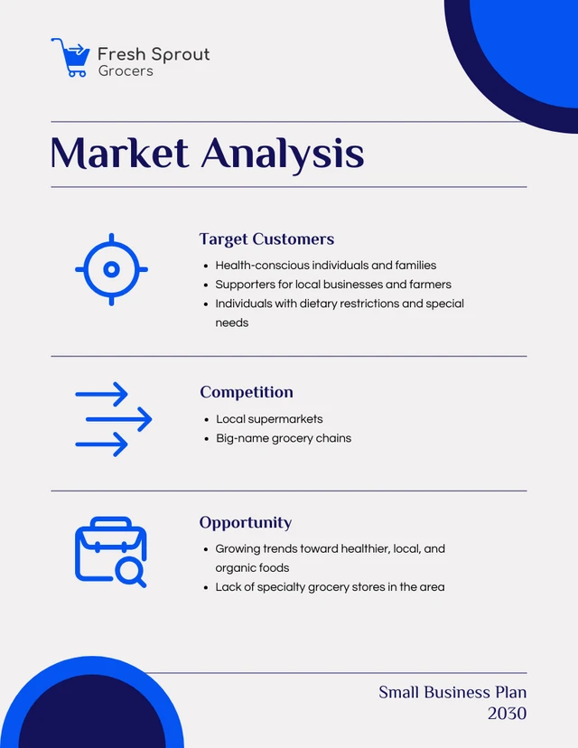 Blue And White Circular Small Business Plan - Page 3