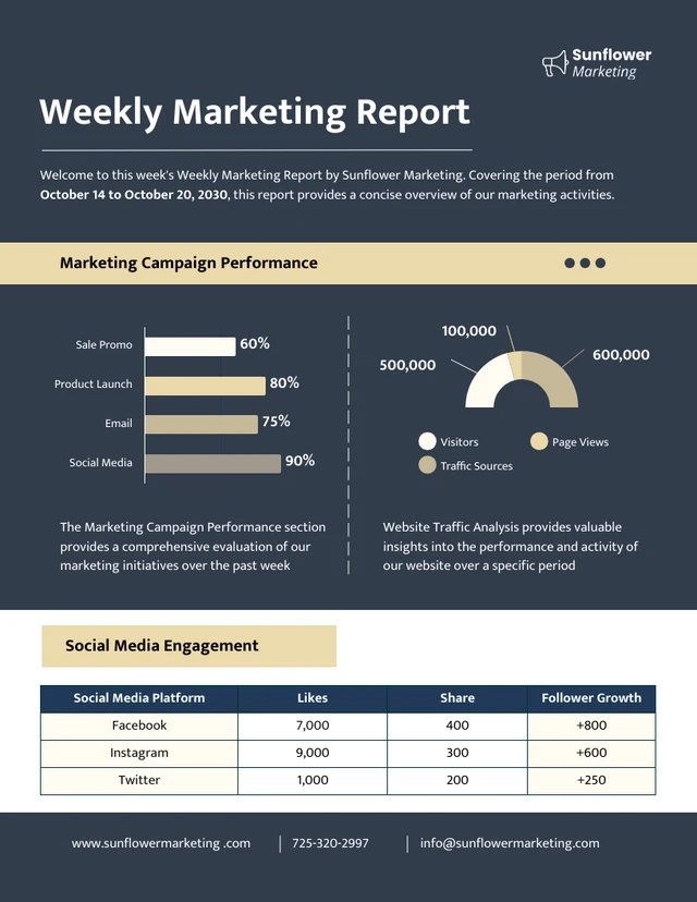 Weekly Marketing Report Template