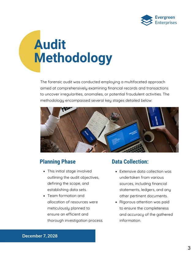 Forensic Audit Report - Page 3