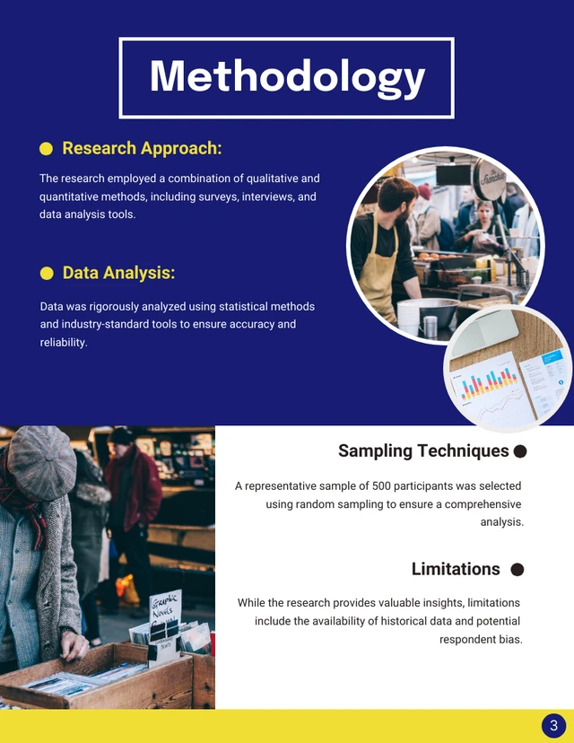 Market Research Consulting Report - Page 3