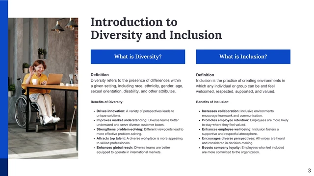 Diversity and Inclusion Training HR Template - Page 3